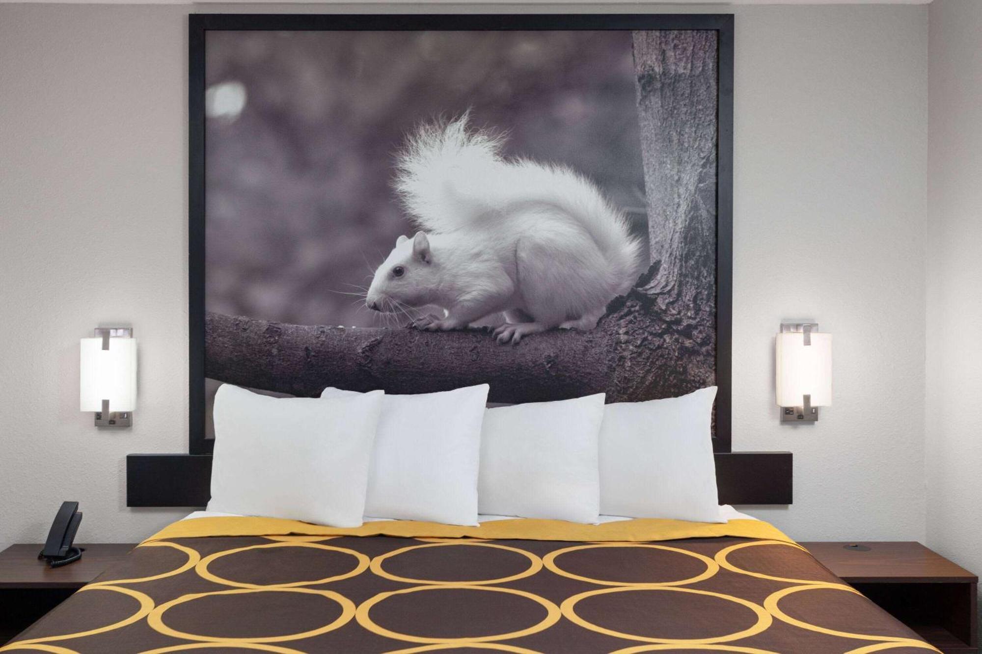 Motel Super 8 By Wyndham Olney Esterno foto